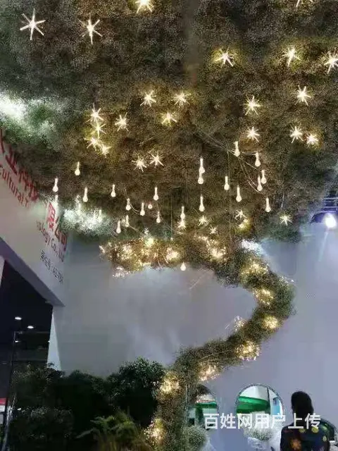 云南昆明美旗基地批发康乃馨尤加利满天星直发全国 - 图片 11