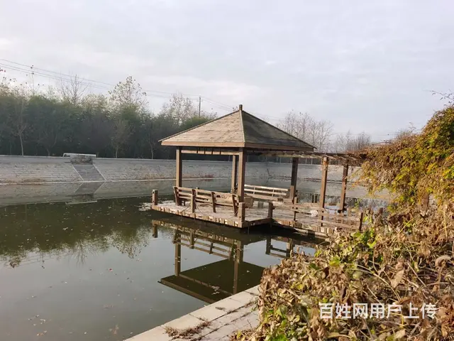 文登泽头独门独院多面积厂房山庄出租 - 图片 8