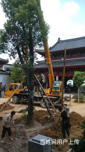 12吨-100吨专业吊车出租 - 图片 6