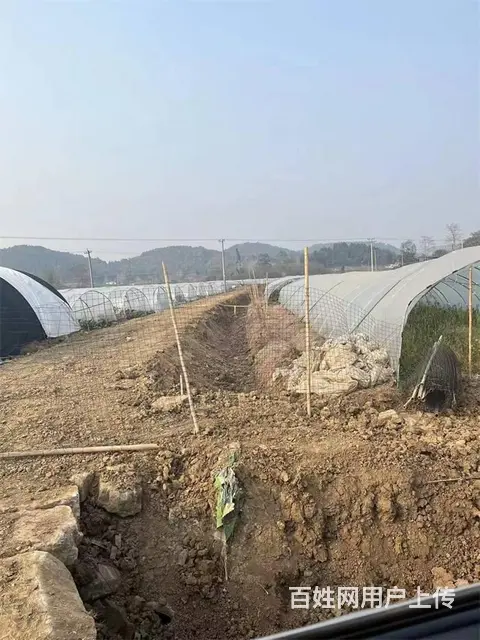 中江县通济镇140亩土地出租 - 图片 2
