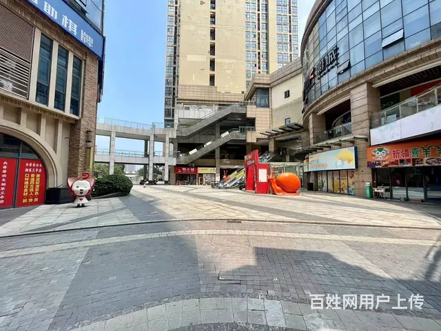 （老板本人）麓山兰亭实验小学门面房东优价出租 6899 - 图片 8