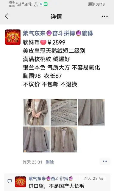 皇冠貂皮 - 图片 2