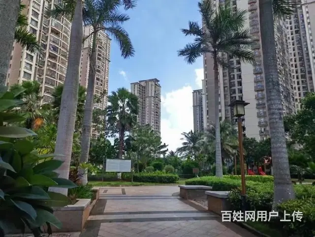 国兴商圈    和风江岸3房电梯 - 图片 12
