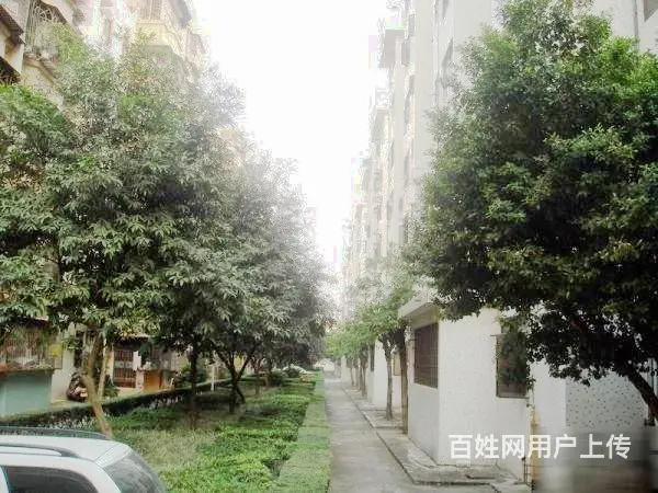 康裕园电梯两房  中间位置 安静舒适 带固定车位 - 图片 9