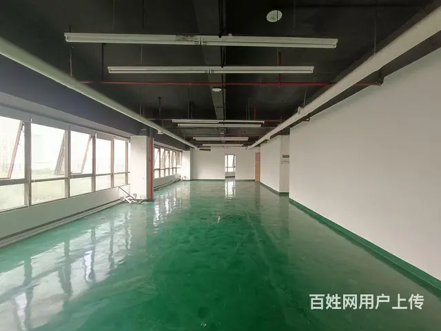全面落地窗可定制装修带家具空调出租黄边地铁口300 - 图片 12