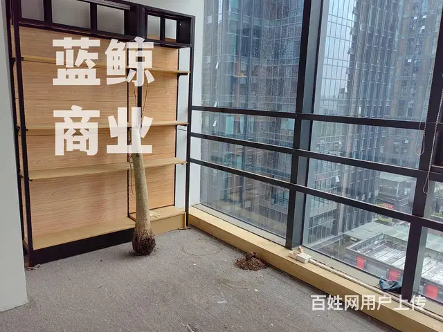 绿地商务城蓝海150平高层南向纯办公出租 - 图片 5