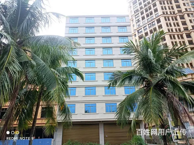 （51旺铺推荐）儋州市那大镇3000平整栋楼招租 - 图片 1