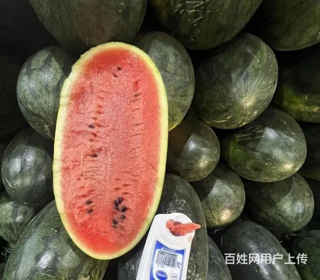 成都水果供应酒店 食堂 学校水果批发市场批发水果上 - 图片 1