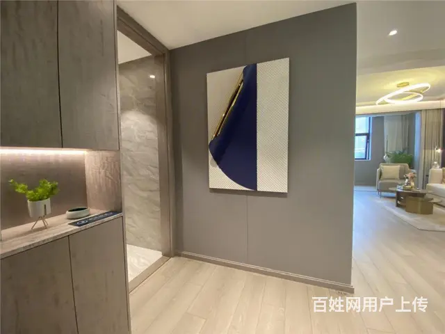 潘安湖中钰大楼盘精装修交付二十万起团购请联系 - 图片 4