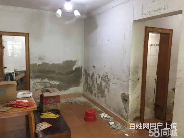 承接室内拆除隔断墙，砸地面铲墙皮打墙砖拆柜子木板 - 图片 5