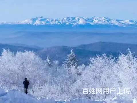呼伦贝尔满洲里延吉旅游拼车旅游拼车电话司机师傅电话 - 图片 3