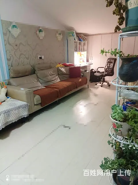 租房/出租 - 图片 7