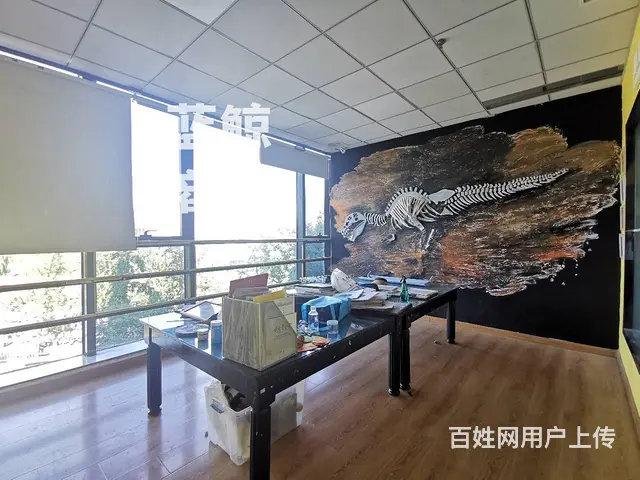 绿地瀛海300平纯办公 - 图片 8