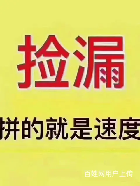 自己家养的卷毛布偶，世界上 温顺的猫 - 图片