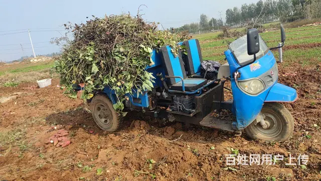 出售五征小金虎高低速柴油三轮车 - 图片 3