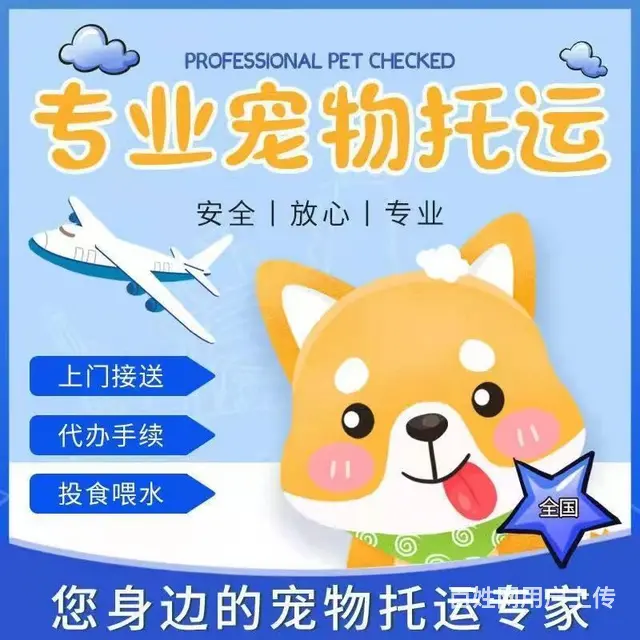 徐州丰县宠物托运 （猫狗活体运输）宠物快递至全国 - 图片 2