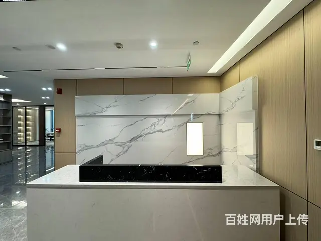 博览中心地铁口 甲级CBD看江 莲花 家具配套高端商办办公楼 - 图片 2