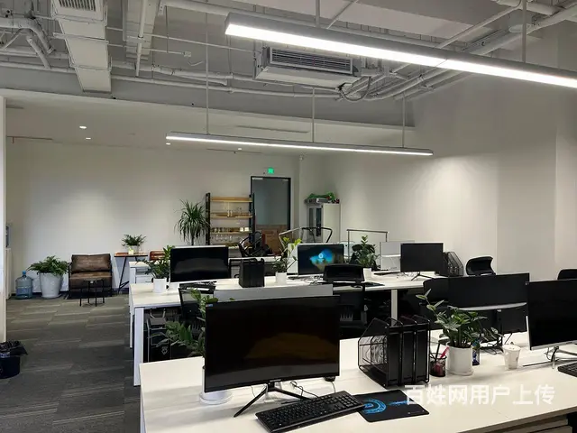阿里园区 直播基地 精装带家具 环境优好招人近云狐 可补贴 - 图片 10