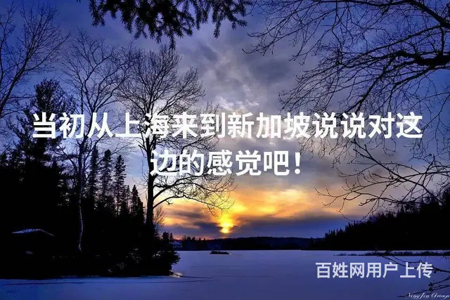 当初从上海来到新加坡说说对这边的感觉吧 - 图片