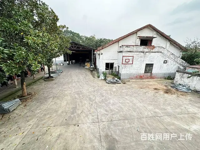 （老板本人）湘江新区独门独院厂房仓库出租，可分租 5379 - 图片 5