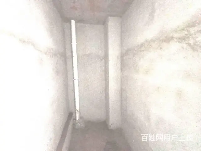 (房东)丽涛雅苑 住宅套房出售 毛坯 1室1厅1厨1卫 电梯 - 图片 3