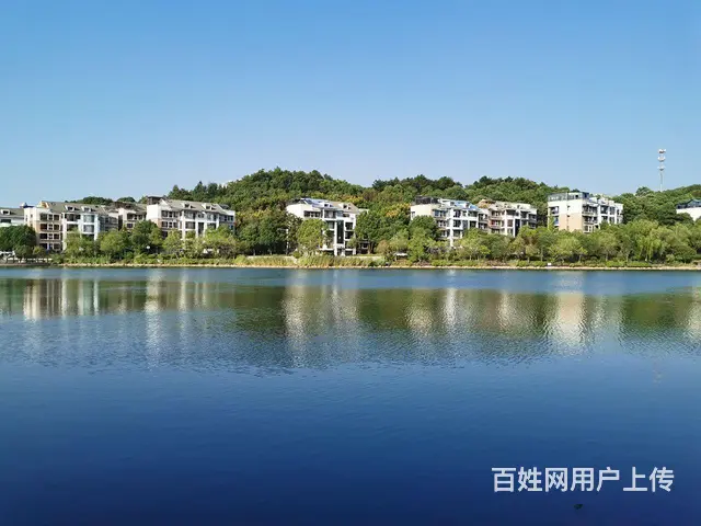 前后花园电梯防空洞豪宅 - 图片 7