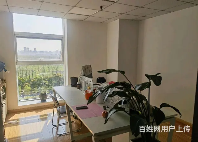 南湖大道上，朝东朝南，采光视野好 - 图片 7