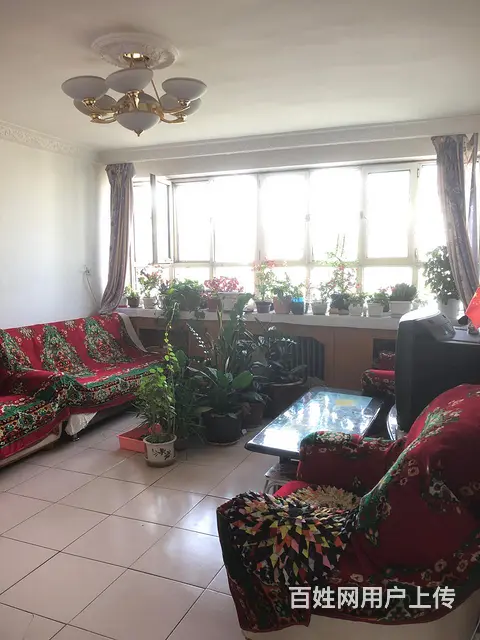 华洋新村小区寻合租女生 - 图片 1