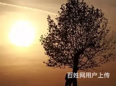 小三很强势小三怀孕了如何处理如何放下小三 - 图片 3