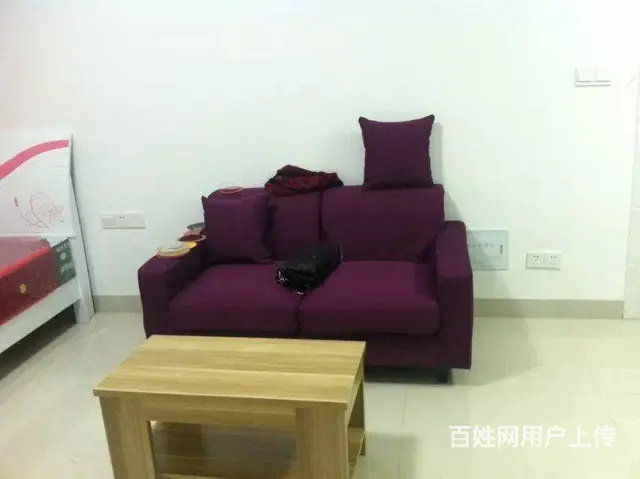 电梯房蒸湘北路蒸水一号小区公寓房精装修家电齐全月租650 - 图片 1