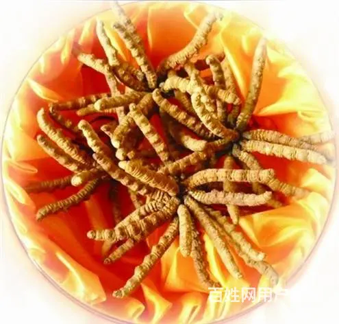 回收礼品老酒洋酒名酒茅台五粮液冬虫夏草 - 图片 2