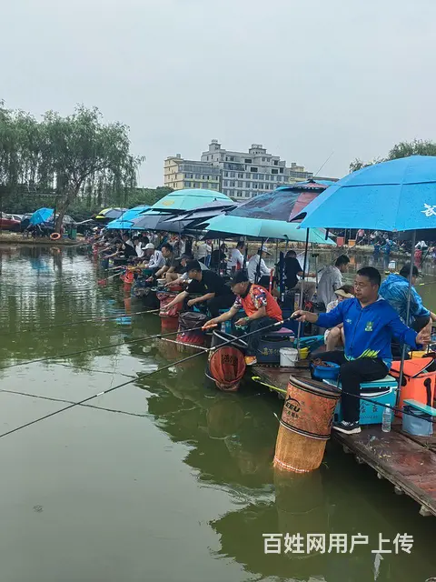 营业中12亩钓场优价急转 - 图片 3