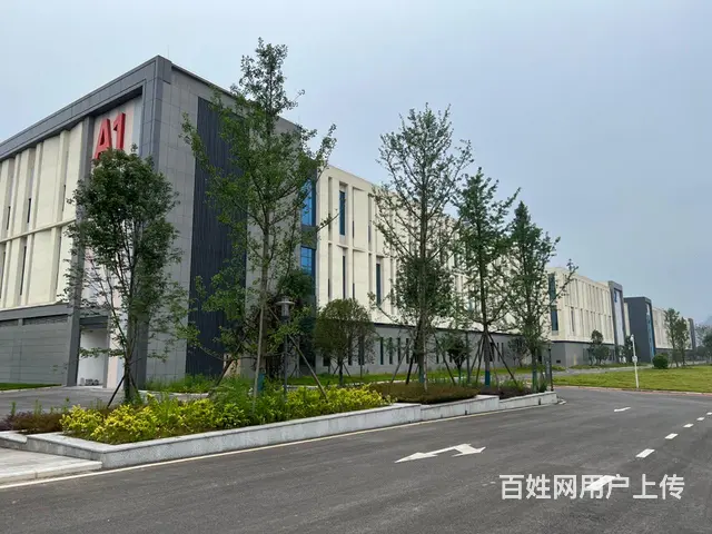 免租金厂房出租，有食堂宿舍 - 图片 6
