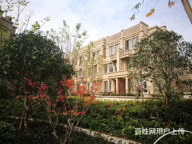 花漫九里法式联排别墅 - 图片 3