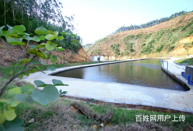 划船野炊烧烤拓展 - 图片 2