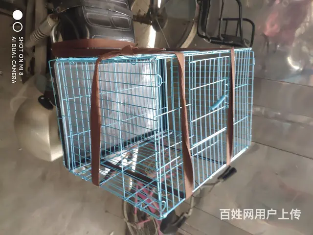 买45.现在亏本25卖了 - 图片 1