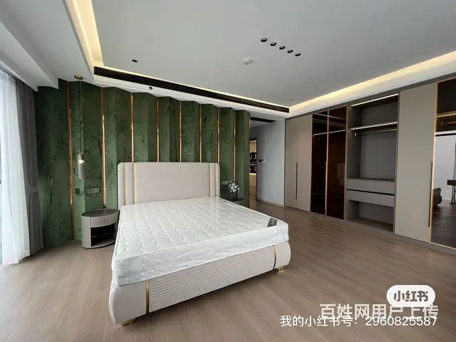 新出实拍 绿地 临江大道 全屋高定江景 超大落地窗 - 图片 6