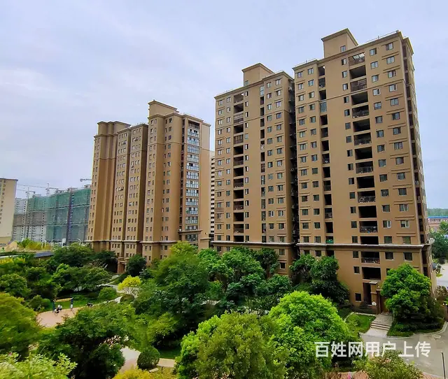 精装送7.5万车位 双阳台带平台 三开间朝南 - 图片 10