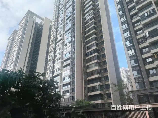 海德路   星华海德豪庭3房 - 图片 10