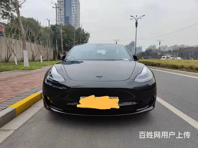 特斯拉Model 3 2020款 标准续航后驱升级版 - 图片 2