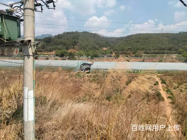 （51旺铺推荐）安宁温泉镇14亩富硒草莓园低价转让 - 图片 4