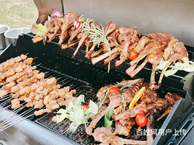 沈阳冷餐、沈阳茶歇、中西式自助餐、BBQ烧烤小火锅 - 图片 8