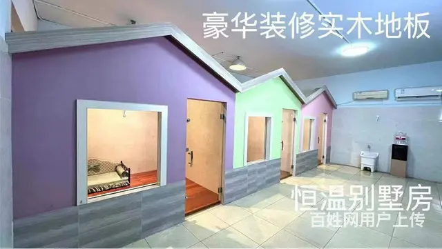 常熟训犬基地宠物寄养 - 图片 1