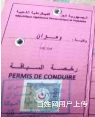 秦皇岛多语种翻译：英语日语韩语俄语德语法语西班牙语 - 图片 2