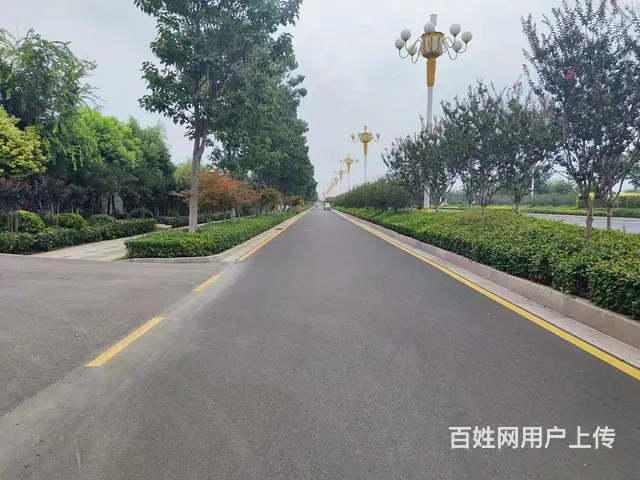 现有湖北路5000平院子仓库 及苗花路2600平框架仓库出租 - 图片 4