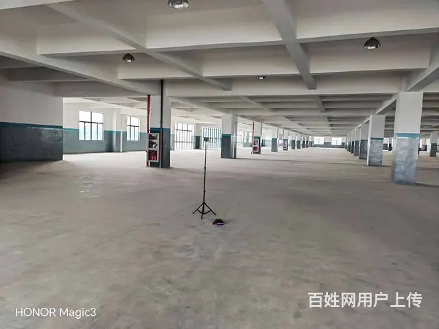 碧溪沿江开发区32000平方标准厂房出租，场地大，环境优美。 - 图片 7