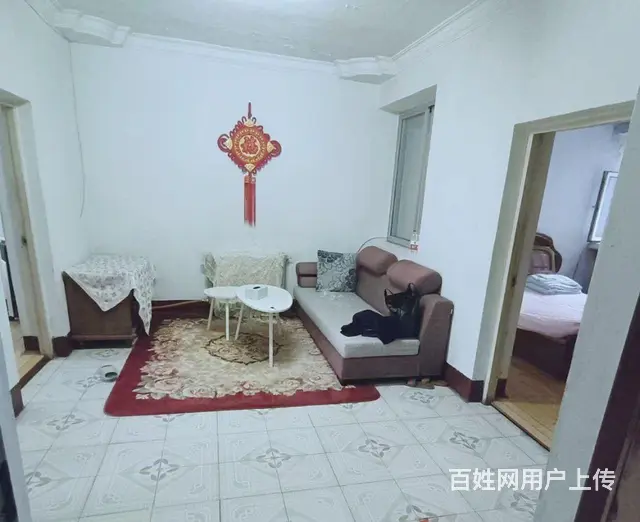 【搞定了！】和平小学附近 - 图片 1