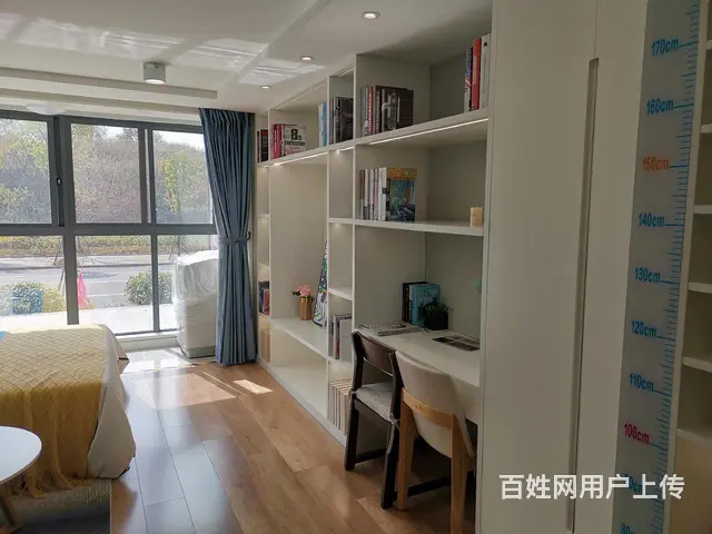 通燃气，通燃气城南核心 明湖之腹复式挑高公寓，可做两室 - 图片 6