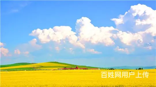 呼伦贝尔根河呼伦贝尔网上怎么包车呼伦贝尔带司机包车服务 - 图片 3