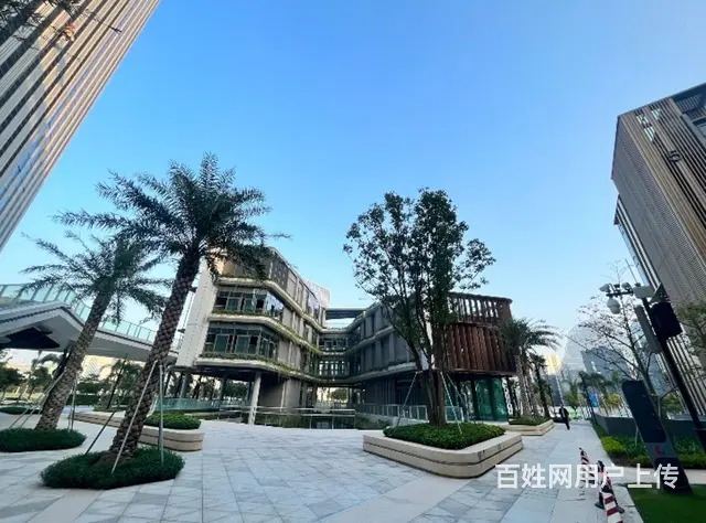 超长免租期，高新区科创北围集合地 - 图片 6